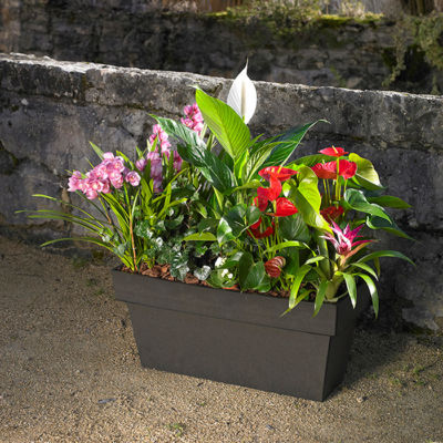 photo publicitaire en extérieur